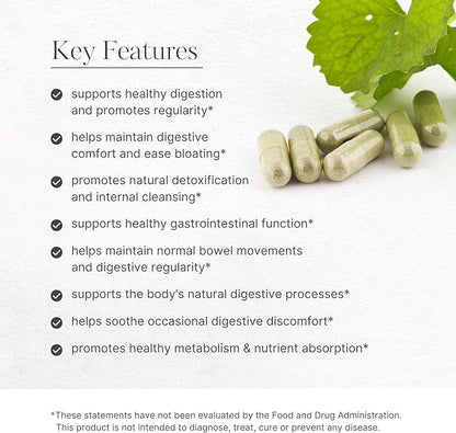 AKSHAR Ayurveda - Senna Lax Aid Herbal Constipation Relief & Laxative - Natural Bloating, Gas, Indigestion & Constipation Supplement - Vegan Cruelty Free (60 Count)