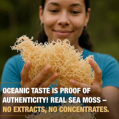 Sea Moss Gel - Propolis Apple Cinnamon 16oz, Wildcrafted Irish Seamoss with Essential Vitamins & Trace Minerals, Vegan Superfood Made in USA