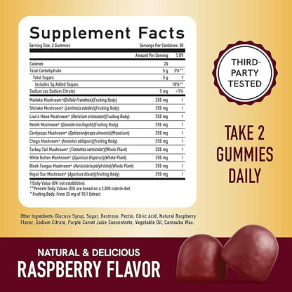 Mushroom Gummies for Adults | with Lions Mane, Turkey Tail, Reishi, Cordyceps, Chaga & Maitake | Nootropic Mushroom Supplement | Support Cognitive Function & Immune Health | Raspberry Flavor | 60ct