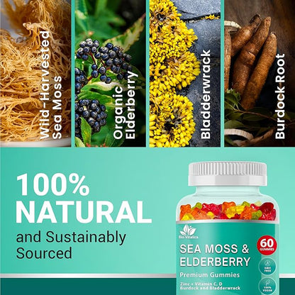 BIO VITALICA Sea Moss Gummies Elderberry BioVitalica - Vitamin C D + Zinc - Irish Seamoss Vegan Gummy with Sea Moss Gel & Powder for Immunity, Detox - for Adults and Kids (3Packs)