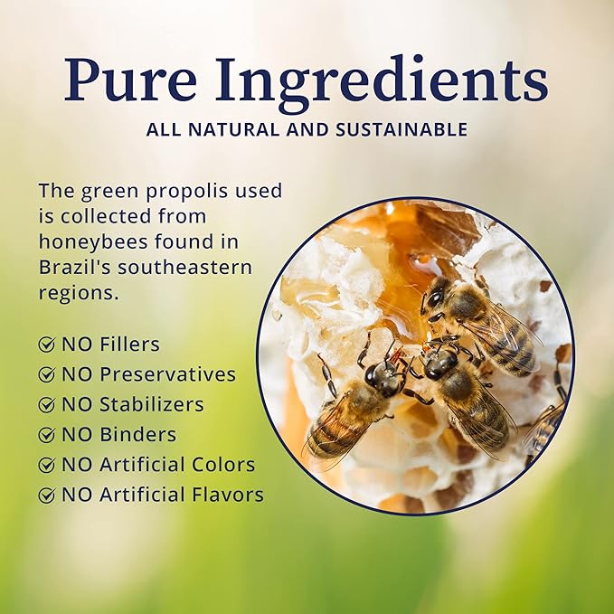 BioPure Brazilian Green Propolis Pure Propolis Extract – Natural Freeze-Dried Extract with Atrepillin-C ad Phenols to Support Respiratory, Gastrointestinal, and Immune Function – 60 Capsules