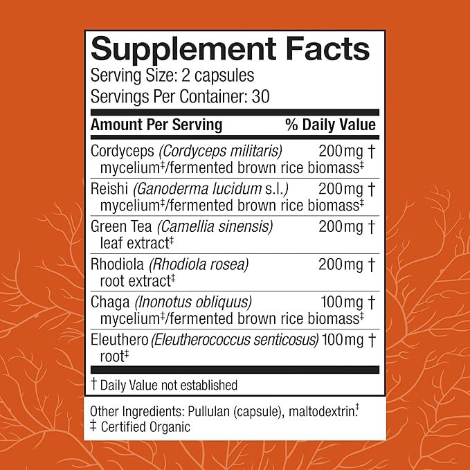 Host Defense MycoBotanicals Energy* Capsules - Energy & Respiratory Support Supplement - Herbal Green Tea Capsules - Respiratory Supplement with Cordyceps, Reishi & Chaga - 60 Capsules (30 Servings)*