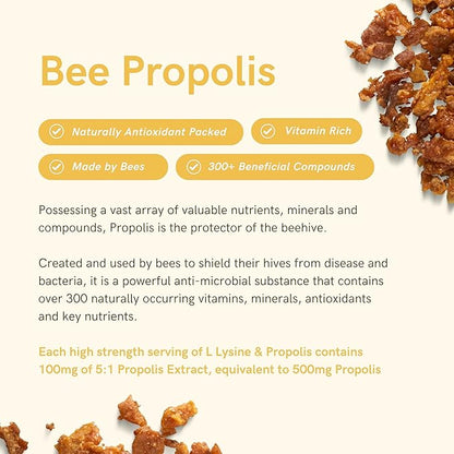 L-Lysine & Propolis Supplements |High Potency L Lysine Immune Support Formula with 5:1 Propolis Extract, Quercetin, VIT C, VIT E and Zinc