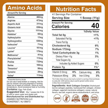 Zammex Multi Collagen Peptides Powder, Type I & III & V & X, Chocolate Collagen Protein Powder, Hydrolyzed Collagen, Supports Hair and Skin, Gut Health, 41 Servings, 1LB