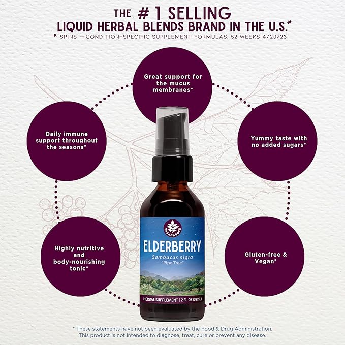 WishGarden Herbs Organic Elderberry Tincture - Daily Adult Elderberry Extract Liquid Immune Defense Supplement, Sambucus Elderberry Immune Support, Organic Elderberry Extract, No Sugar No Honey, 2oz