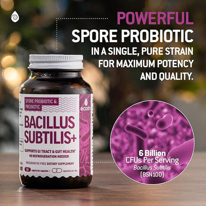 Bacillus Subtilis Spore Based Probiotic — High Potency Strain with Prebiotic for Balanced Belly | Daily Gut Health & Microbiome Support for Family | 6 Billion CFU Per Day | 90 Vegetarian Capsules