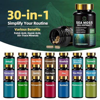 Shilajit for Men, Sea Moss and Shilajit Bundle, All in 1 Supplements with Coenzyme Q10, Black Seed, Ashwagandha, Taurine, Burdock for Energy, Endurance, Antioxidant & Immune Support, 240 Capsules
