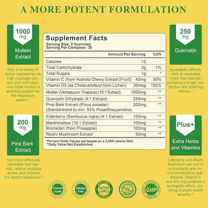 (2 Pack) 9 in 1 Mullein Gummies for Lung Cleanse & Detox, Extra Strength Mullein Leaf Extract w/Quercetin, Bromelain, Elderberry & Marshmallow for Respiratory, Immune & Digestive, Vegan,120 Count