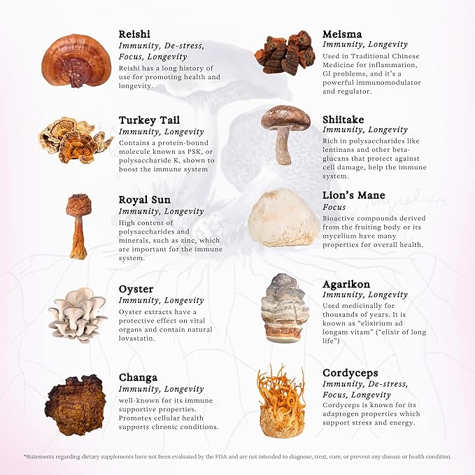 11:11 Multi Mushroom Tincture, Dual Extract Mushroom Supplement for Comprehensive Immune Support, Brain Support, Liquid Lion's Mane & Turkey Tail, Vegan, Non GMO, 3.4 fl oz