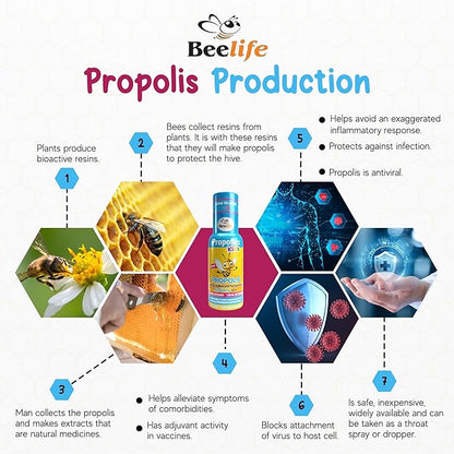 Beelife Bee Propolis Extract, Propolis Throat Spray for Kids – Propolis, Honey, Mallow, Pomegranate - Natural Immune Support & Sore Throat Relief, No Sugar - Blueberry Flavor - (35ml/ 3-Pack)