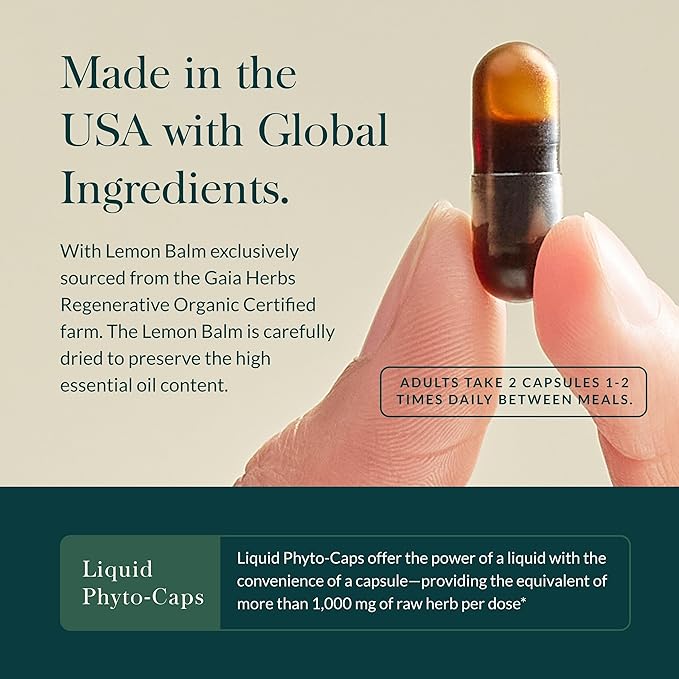 Gaia Herbs Nootropic Focus - Brain & Cognitive Support Supplement to Help Maintain Healthy Concentration* - with Saffron, Lemon Balm & Spearmint - 40 Liquid Phyto-Capsules (Up to 20-Day Supply)