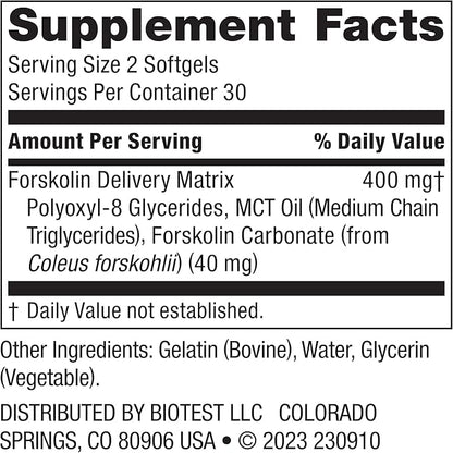 Biotest Carbolin 19 - Advanced Forskolin Carbonate for Fat Loss & Metabolic Performance - 60 Softgels (30-Day Supply)