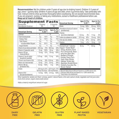 Nature’s Way Alive! Kids Zero Sugar Gummy Multivitamin, for Kids Ages 2+, Supports Bone, Eye & Immune Health, No Sugar Alcohols, Plant-Based Sweeteners, Berry-Citrus Flavored, 60 Gummies