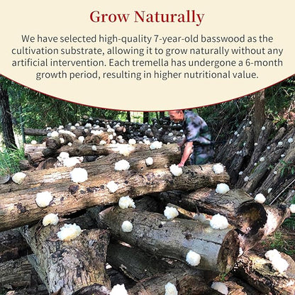 Wanhua Hall Dried White Snow Fungus Mushroom Whole White Wood Ear Mushroom for Cooking Tremella Fuciformis Mushroom 3.5oz/100g All Natural Vegan,Gluten-Free,No Additive 银耳 椴耳 雪耳 去根椴木小银耳