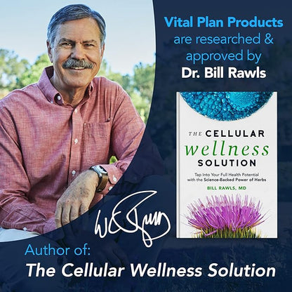 Brain Boost Supplement by Dr. Bill Rawls – Brain Boosting Capsules w/Lion’s Mane, Cat’s Claw, Bacopa, Sensoril Ashwagandha & Ginkgo Biloba