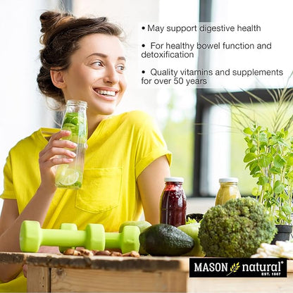 Mason Natural Papaya Digestive Enzyme Complex, Healthy Digestive Function, Promotes Nutrient Absorption, Peach Flavor, 100 Chewables (Pack of 3)