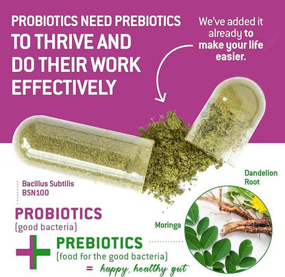 Bacillus Subtilis Spore Based Probiotic — High Potency Strain with Prebiotic for Balanced Belly | Daily Gut Health & Microbiome Support for Family | 6 Billion CFU Per Day | 180 Vegetarian Capsules