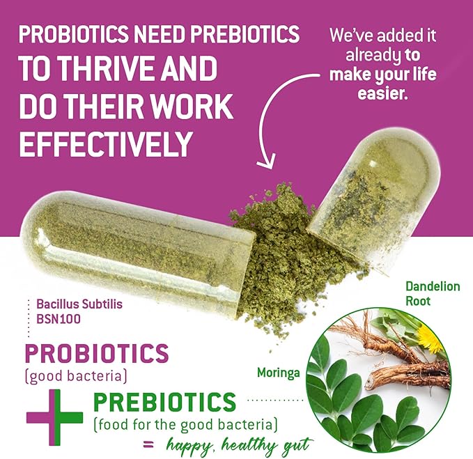 Bacillus Subtilis Spore Based Probiotic — High Potency Strain with Prebiotic for Balanced Belly | Daily Gut Health & Microbiome Support for Family | 6 Billion CFU Per Day | 90 Vegetarian Capsules