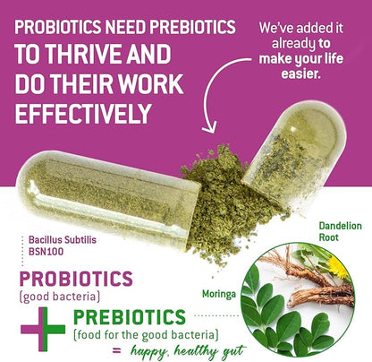 Bacillus Subtilis Spore Based Probiotic — High Potency Strain with Prebiotic for Balanced Belly | Daily Gut Health & Microbiome Support for Family | 6 Billion CFU Per Day | 90 Vegetarian Capsules