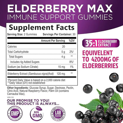 Sambucus Elderberry Immune Gummies - Daily Immune Support for Kids & Adults - Super Concentrated 35:1 Extract, Equivalent to 4200mg of Elderberries, Black Elder Berry Vitamin Supplement - 60 Gummies