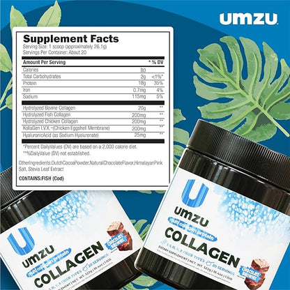 UMZU ZuCollagen Hydrolyzed Protein Powder | 5 Collagen Peptide Types for Healthy Hair, Skin, Nails, Joints & Gut | Low Calorie, High Protein (20g Protein per Serving | Chocolate)