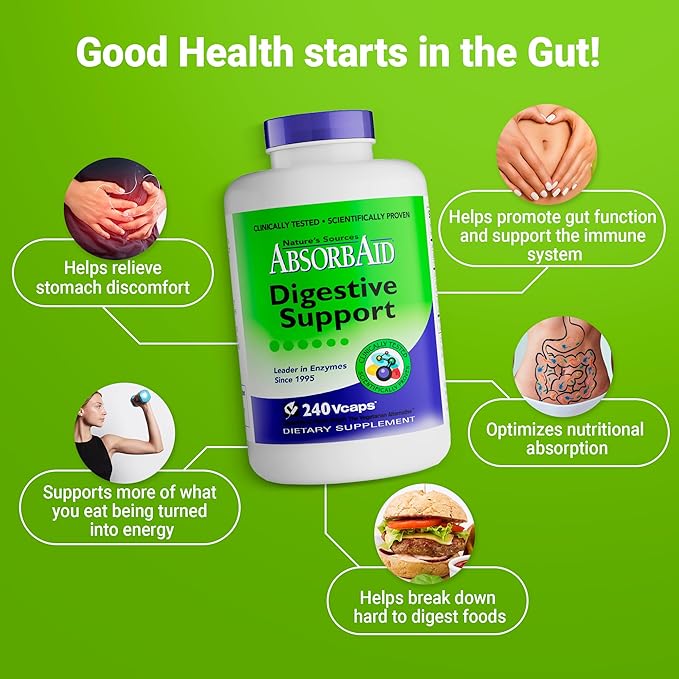 AbsorbAid Original Formula Digestive Support Enzyme Supplement, 240 Veggie Capsules (240 Capsules)