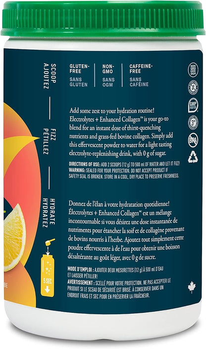 Organika Canadian-Made Electrolytes + Enhanced Collagen - Zesty Lemon Berry Flavour - Sugar-Free Hydration | 5g Protein + 100% of Daily Vitamin C | 360g, 30 Servings