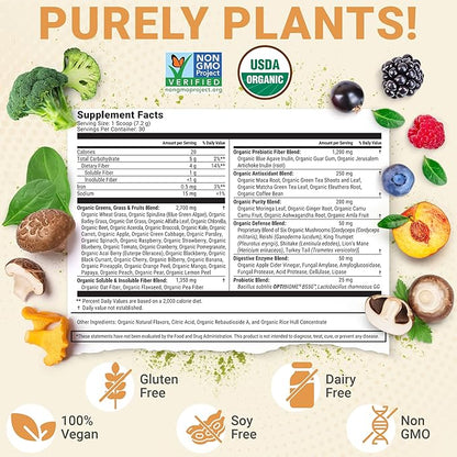 Júce Belly Bliss, Peachy Greens, 30 servings, Probiotics + Greens, Bloating Support with Plant-Based Digestive Enzymes, Dietary Supplement Powder - By Terra Kai Organics