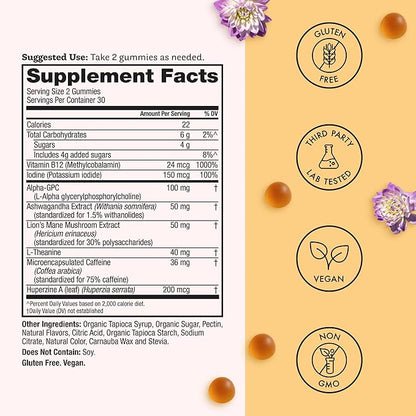 Winged Wellness Rise Up, Energy & Focus Gummies for Women - Daily Brain Boost Gummy Supplement with Natural Caffeine, Ashwagandha, B12, Nootropics Alpha-GPC & Lion’s Mane - Pineapple, 30 Gummies