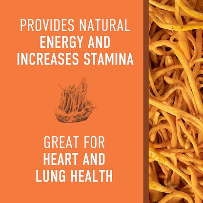 Organic Cordyceps Mushroom Powder Supplement - Cordyceps Extract for Increased Energy, Stamina, and Endurance (45g, 30 Servings) - Energize & Boost