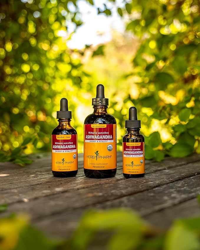 Herb Pharm Organic Ashwagandha Liquid Extract, Alcohol-Free: Mood Support Supplement, Vegan Ashwagandha Root Glycerite, Tasty Non-Bitter Adaptogen Extract for Adults, Non-GMO, 1 Oz