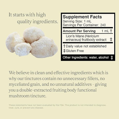 Lions Mane Extract - Double Extracted Fruitbody Mushroom Tincture, Natural Support for Mental Clarity, Brain Function, Memory, Cell Regeneration, Creativity & Mood (240 Servings)