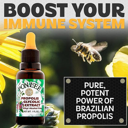 Pon Lee Brazil Green Bee Propolis Liquid Extract No Alcohol 30ML 1 Pack