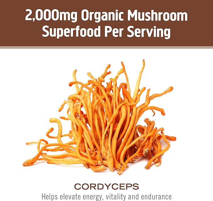 OM MUSHROOM SUPERFOOD Cordyceps Organic Mushroom Powder, 3.5 Ounce, 50 Servings, Energy, Power, Stamina and Endurance Support, Superfood Supplement for Sports Performance
