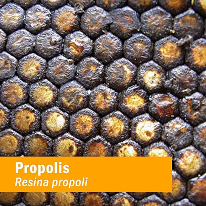 Herb Pharm Propolis Extract for Immune System Support - 1 Ounce