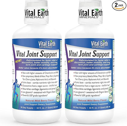 Vital Earth Liquid Joint Support Supplement 2-Pack – Glucosamine, Chondroitin, MSM Plus Hyaluronic Acid, Boswellia & Fulvic Acid (70+ Trace Minerals), 32 Oz Ea