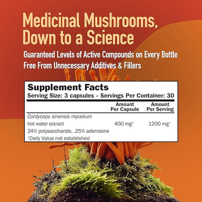MushroomScience Cordyceps CS-4 Capsules, Full Spectrum Extract for Health, Energy & Endurance, Hot Water Extracted, Vegetarian, 400mg, 90 CT