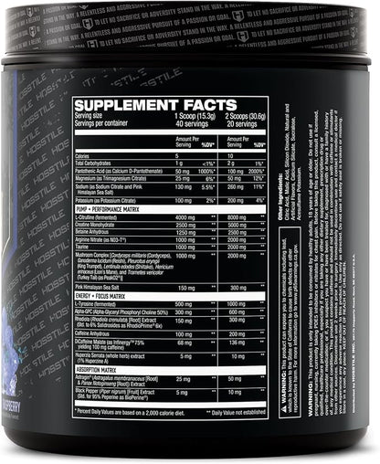 HOSSTILE Hosstility V2 Pre Workout, All-in-One Pre Workout Powder for Men and Women, Enhance Muscle Pump, Increase Energy, Boost Strength, Sharpen Focus, Blue Raspberry, 40/20 Servings