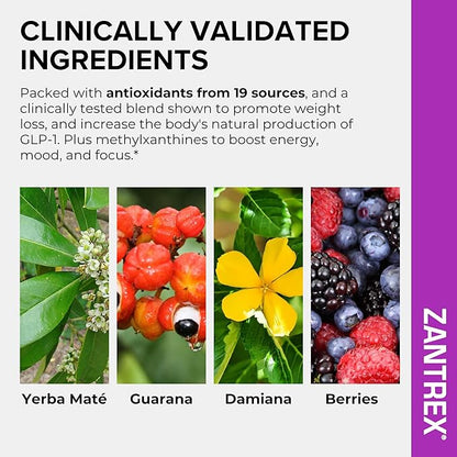 Zantrex SkinnyStix Energy Powder – Lose Weight, GLP-1, Appetite Suppressant, Boost Mood – 10 Calories – Yerba Mate, Coffee Bean – 30 Stix, Berry
