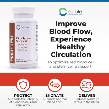 Cerule Plasmaflo Blood Flow Supplement to Support Bloods Circulation in Veins, Capillaries, Vessels and Heart for Vascular Health with a Proprietary Enzyme Blend, Gotu Kola and Ginkgo Biloba