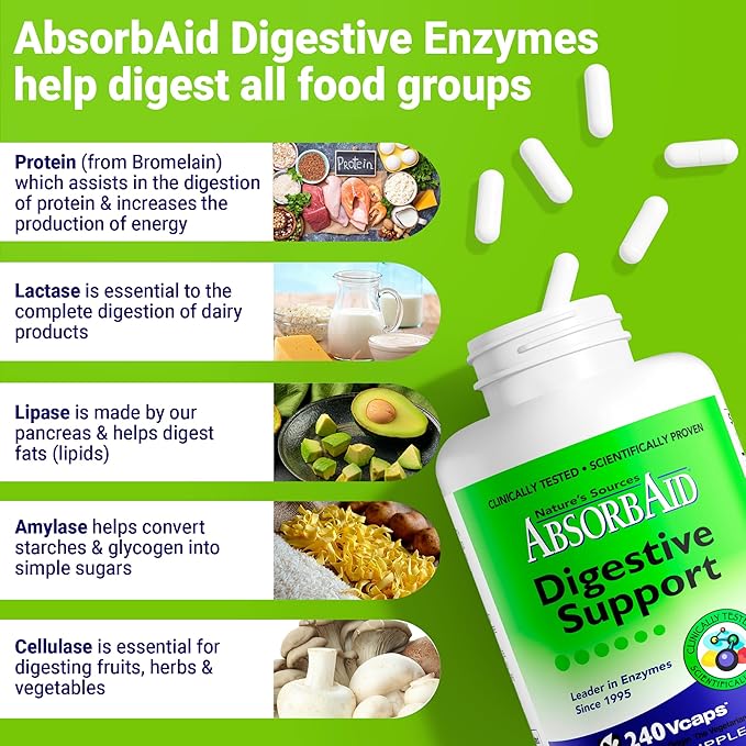 AbsorbAid Original Formula Digestive Support Enzyme Supplement, 240 Veggie Capsules (240 Capsules)