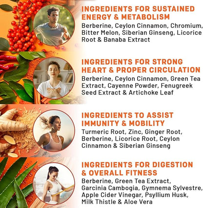 21-in-1 Berberine Supplement with Ceylon Cinnamon with Chromium, Bitter Melon and Green Tea Extract and Black Pepper Extract 5X for Energy & Metabolism Support with 5279 mg (120 ct, Pack of 4)