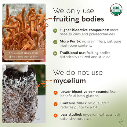 Longevity Botanicals Organic Cordyceps Mushroom Extract Powder 100g | Concentrated 10:1 Ratio | 100% Fruiting Bodies | Cordyceps Militaris Natural Supplement for Energy, Stamina & Respiratory Support