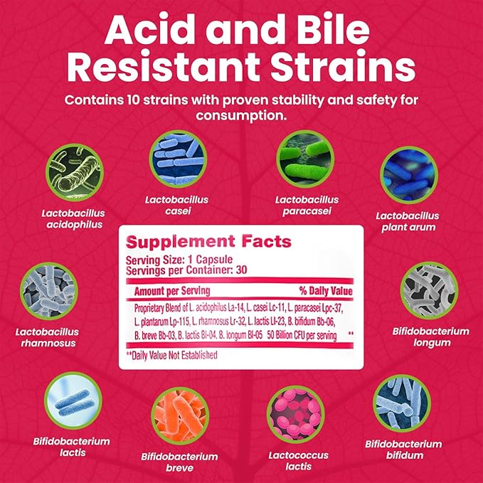Mega-Strain 50 Billion CFU Probiotics + Prebiotics 30 Caps Probiotics for Women & Men - Maintain Good Flora Probiotic & Digestive Health - No Refrigeration Required Probiotics Lactobacillus Rhamnosus