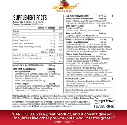 NDS Nutrition 4.0 Pre Workout Supplement - Advanced Weight Loss and Pre Cardio Formula with L-Carnitine, CLA, MCTs, L-Glutamine, and Safflower Oil - Peach Mango (40 Servings)