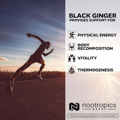 Nootropics Depot Black Ginger Extract Capsules | 10% 5,7-dimethoxyflavone | 180 Count