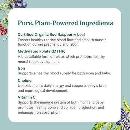 PURE SYNERGY PureNatal Prenatal Vitamins | Vegan Supplement Made with Organic Whole Foods | with Natural Iron, Folate, and Choline | for Pre-Conception, Pregnancy and Breastfeeding (120 Tablets)