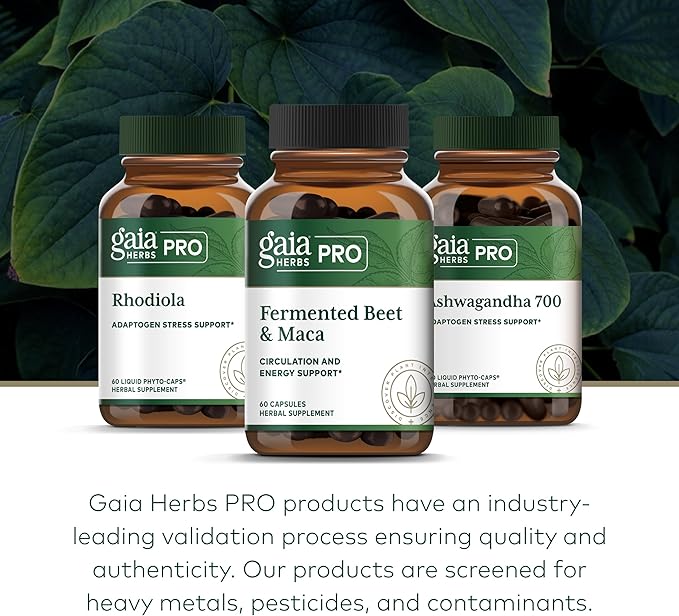 Gaia Herbs PRO Fermented Beet & Maca - Healthy Energy & Circulation Support Supplement* - Kidney Health Supplement with Beet & Carrot Root - Vegan, Gluten-Free, Soy-Free - 60 Capsules (30 Servings)