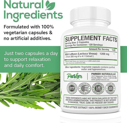 Wild Lettuce Extract – Herbal Sleep Supplement 1200mg, 4:1 Concentrated, Vegan Capsules, Soothes Discomfort, 120 Servings, 240 Count