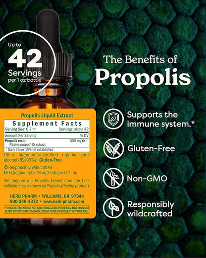 Herb Pharm Propolis Extract for Immune System Support - 1 Ounce